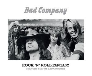 Bad Company Ultra Slim Shockproof Case for iPad Air 2 Smart Wake-up S (Vinyl LP)