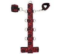 Imbracatura Busto con Manette