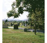 Bad Luck. Take What You Need Evergreen Cemetery (Vinyl LP)