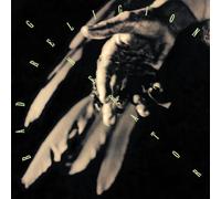 Bad Religion Generator - Anniversary Edition (Vinyl LP)