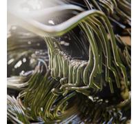 Bad Stream Sonic Healing (CD) Album