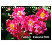 Baden bei Wien - Rosarium (Tischkalender 2026 DIN A5 quer), CALVENDO Monatskalender: Das größte Rosarium Österreichs liegt in Baden bei Wien