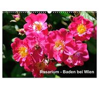 Baden bei Wien - Rosarium (Wandkalender 2026 DIN A3 quer), CALVENDO Monatskalender: Das größte Rosarium Österreichs liegt in Baden bei Wien