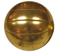 Baden | Serie trofeo | Pelle sintetica | Mini Trofeo Pallavolo | Taglia 2 | Trofeo Oro