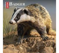 Badger Calendar 2026: Fierce and Fascinating Creatures of the Burrow