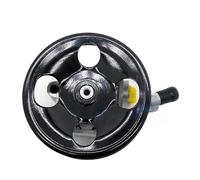 BADIKA 49110CG000 21-5958 55-588 49110CG000 Pompa SERVOSTERZO