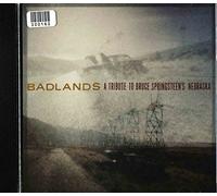 Badlands A Tribute To Bruce Sp - Various Artists