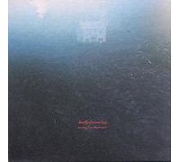 Badly Drawn Boy - It Came from The Ground [Import]