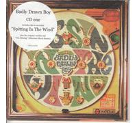 Badly Drawn Boy - Spitting in The Wind
