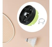 Badminton Sfere di piroscafo Professional Practical Practical Shuttlecock