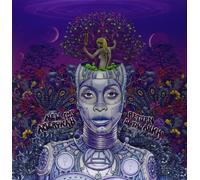 Erykah Badu New Amerykah Part Two: Return of the Ankh (Vinyl LP)