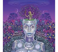 Badu, Erykah - New Amerykah Part Two (Return Of The Ankh)
