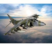 Bae Harrier Gr9A Ninja 1 Raf Cottesmore Piano Di Ritiro 1:48 Corgi Aa29302