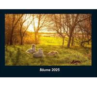 Bäume 2025 Fotokalender DIN A4: Monatskalender mit Bild-Motiven aus Fauna und Flora, Natur, Blumen und Pflanzen