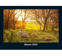 Bäume 2025 Fotokalender DIN A5: Monatskalender mit Bild-Motiven aus Fauna und Flora, Natur, Blumen und Pflanzen