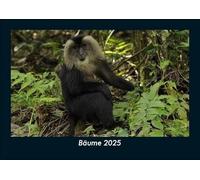 Bäume 2025 Fotokalender DIN A5: Monatskalender mit Bild-Motiven aus Fauna und Flora, Natur, Blumen und Pflanzen