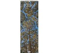 Bäume 2026 - Foto-Kalender - Wand-Kalender - King-Size - 34x98: Trees