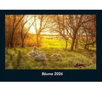 Bäume 2026 Fotokalender DIN A4: Monatskalender mit Bild-Motiven aus Fauna und Flora, Natur, Blumen und Pflanzen