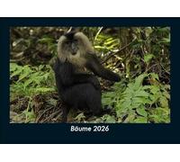 Bäume 2026 Fotokalender DIN A5: Monatskalender mit Bild-Motiven aus Fauna und Flora, Natur, Blumen und Pflanzen