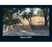 Bäume 2026 Fotokalender DIN A5: Monatskalender mit Bild-Motiven aus Fauna und Flora, Natur, Blumen und Pflanzen