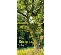 Bäume Kalender 2026 | Stilsicherer Natur-Kalender im schlanken Hochformat (33x66 cm) | Laubbäume und Nadelbäume, Wälder und Alleen