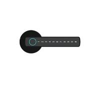 BAFEIYA Serratura Elettronica Intelligente con Impronta Digitale e modalità di Passaggio con sblocco Tramite Password/Chiave for Camera da Letto(Noir)