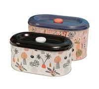 Bafnsiji Set di contenitori da 2pc, Barattolo per la conservazione della Cucina, Barattoli per Biscotti, Barattoli per Torte, Contenitori per la conservazione con Coperchio, Torte e leccornie,B