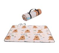 BAFOVY Coperta da Picnic, Tappetino da Picnic Pieghevole Portatile Addensato a Prova di umidità e Resistente All'acqua con un Tocco Morbido e Confortevole, per attività All'aperto (200 * 300 cm)