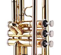 BAFOVY Tromba in Ottone per Principianti, Ottone Resistente, Aspetto Elegante, Suono Eccezionale, Perfetta per i Giovani Musicisti, Include Borsa per il Trasporto e Accessori (GOLD)