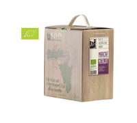 BAG IN BOX Vini San Filippo Merlot 2025 - 5 LITRI
