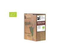 BAG IN BOX Vini San Filippo Syrah 2023 - 2 LITRI