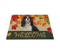 BAGEYOU - Zerbino con scritta "Welcome Fall with My Favorite Dog", motivo: Cavalier King Charles Spaniel, per esterni, motivo "Harvest Season", stile rustico, 59,9 x 39,9 cm