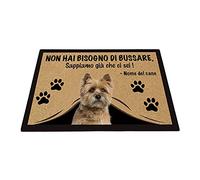 BAGEYOU Zerbino Personalizzato con Il Mio Cane Amore Cairn Terrier Non Hai Bisogno di Bussare Sappiamo già Che Ci Sei Tappetino 60 x 40 cm