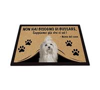 BAGEYOU Zerbino Personalizzato con Il Mio Cane Amore Havanese Non Hai Bisogno di Bussare Sappiamo già Che Ci Sei Tappetino 60 x 40 cm