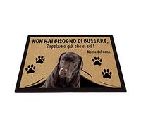 BAGEYOU Zerbino Personalizzato con Il Mio Cane Amore Labrador Non Hai Bisogno di Bussare Sappiamo già Che Ci Sei Tappetino 90 x 60 cm