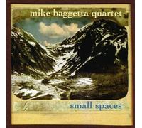 Baggetta, Mike Quartet - Small Spaces