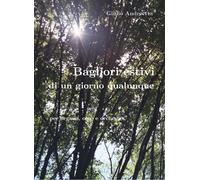 Bagliori estivi di un giorno qualunque di Giulio Andreetta, 2020, Youcanprint