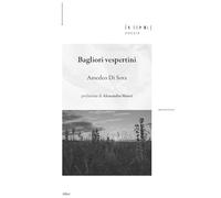 Bagliori vespertini