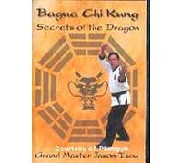 Bagua Chi Kung: Secrets of the Dragon (2 DVD Set)