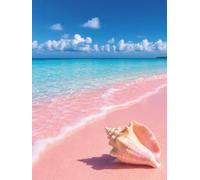 Bahamas Travel Journal Notebook Tropical Vacation Diary for Summer Memories, Travel Planner, Relaxation and Positive Beach Vibes: A stylish notebook ... island - positive thoughts, dream travels