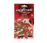 Bahian - VogliaPiccante - Sem. Dotto