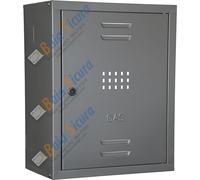 BAIA SICURA Cassetta Contatore Gas CON SCHIENALE Zincata, Bianca o Colorata in Acciaio Zincato | Tante Misure e Colori (Acciaio Zincato Grigio Inox RAL 9006, 60 H x 50 L x 23 P cm)