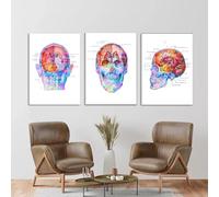 Baibexing Arte Dell'Anatomia Del Cervello, Stampa Del Cervello. Poster Decorativo Per Clinica Medica, Dipinto Su Tela Di Neurologo, Quadro Da Parete. 40X60Cmx3Pcs Senza Telaio