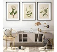 Baibexing Illustrazioni Floreali Vintage E Antiche, Dipinti Botanici Su Tela, Poster, Arte Pastorale Da Parete Per Soggiorno, Decorazione Della Casa 21X30Cmx3Pcs Senza Telaio