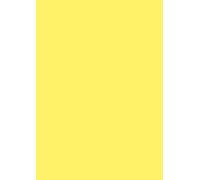 Baier & Schneider - Fogli di carta multiuso, formato A4, 80 g/mq, 50 fogli, colore: Giallo