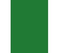 Baier & Schneider - Fogli di carta multiuso, formato A4, 80 g/mq, 50 fogli, colore: Verde scuro opaco