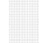 Baier & Schneider - Fogli per raccoglitori ad anelli, formato A4, 100 fogli, a quadretti