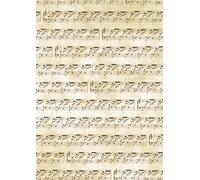 Baier & Schneider Note- Carta trasparente DIN A4 orizzontale, 115 g/m², A4 (21x31cm)