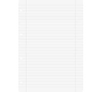 Baier & Schneider - Ricarica di fogli per quaderno ad anelli, formato A4, 70 g/mq, 4 fori, a righe, 100 pz, colore: Bianco