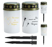 BAIFULAI Confezione da 2 candele a energia solare per esterni: 14,3 × 7 cm, impermeabili, per esterni, con picchetto, senza fiamma, per sempre nei nostri cuori (bianco, dente di leone e cuore)